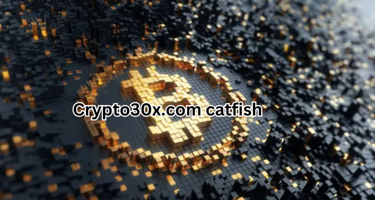 Crypto30x.com catfish
