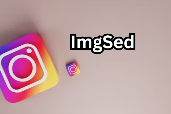 ImgSed