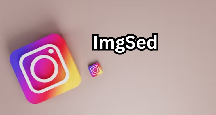 ImgSed