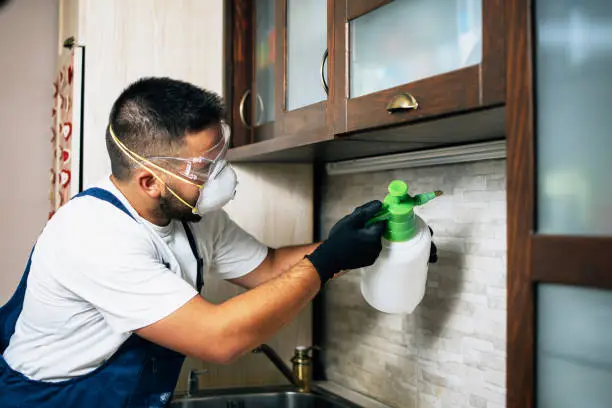 Termites Control Services