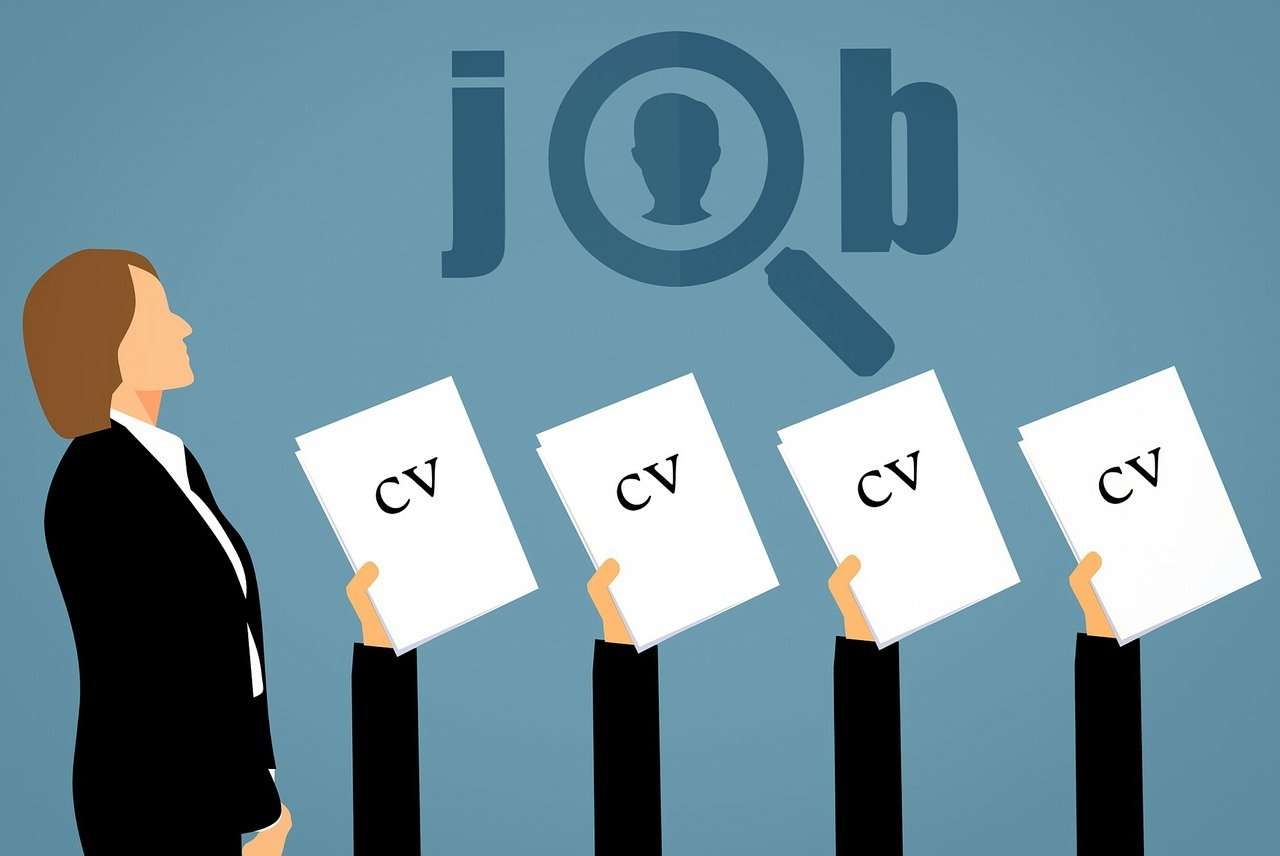 CV summary